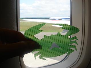 Photo_16