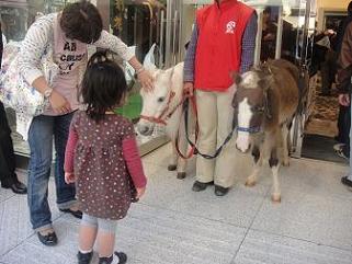 Photo_15