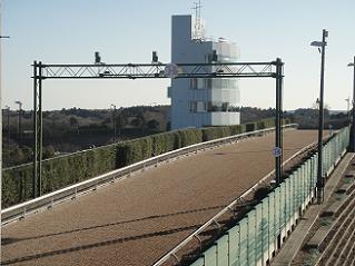 Photo_12