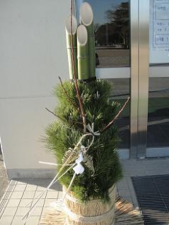 Photo_5