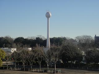Photo_19