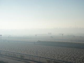 Photo_14