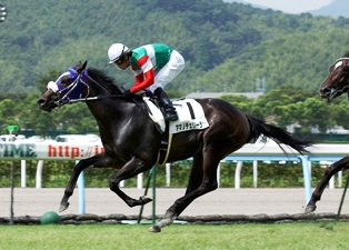 JRA育成馬日誌 : ダービー馬ウオッカを産んだJRA育成馬（事務局）