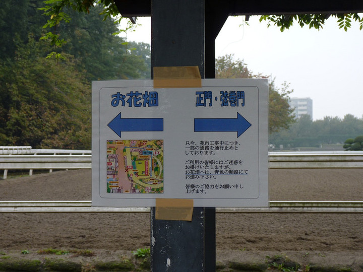 Photo_2