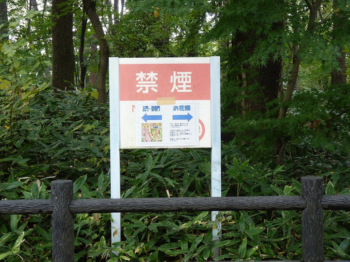 Photo_3