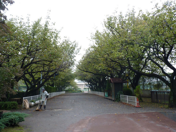 Photo_4