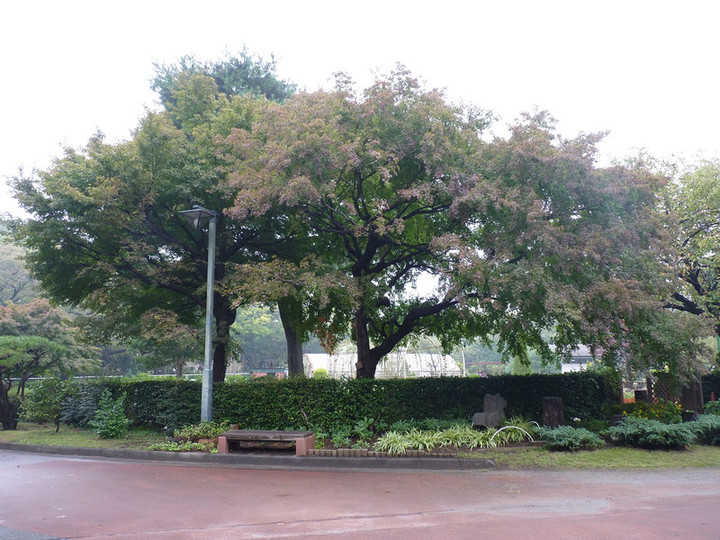 Photo_5