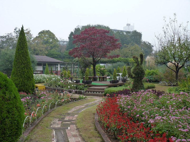 Photo_6
