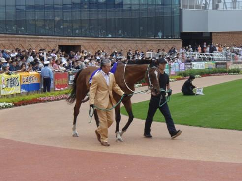 馬の温泉だより : 函館競馬終了！ メジロライアン来場