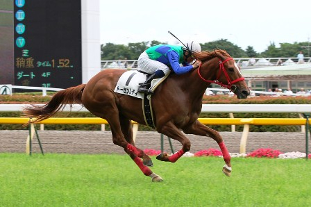 セレクトセール2012上場馬
