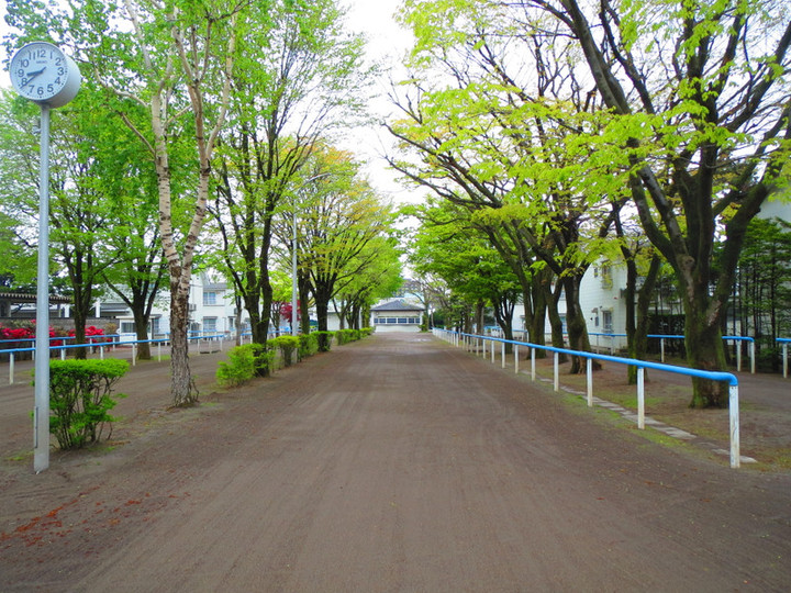 馬の温泉だより : 夏競馬に向けて（グラスワンダーと
