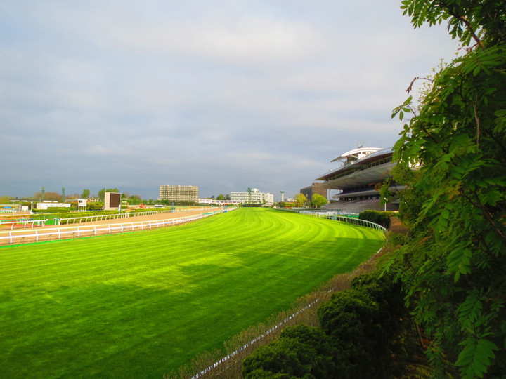 馬の温泉だより : 夏競馬に向けて（グラスワンダーと