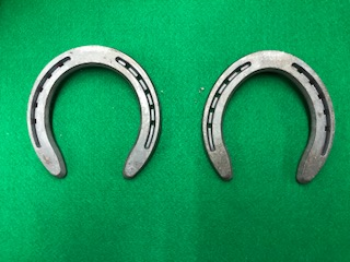 JRA育成馬日誌 : 育成馬ブログ 日高⑥