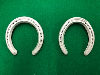 JRA育成馬日誌 : 育成馬ブログ 日高⑥