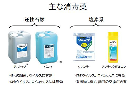 馬の資料室（日高育成牧場） : 馬の感染症と消毒について