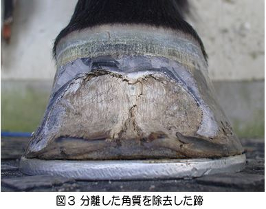 3_3