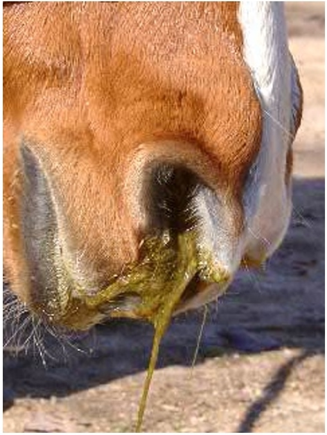 1_10