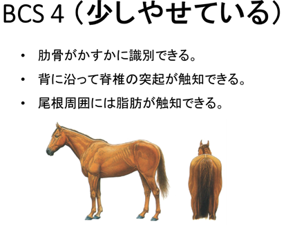 2_2