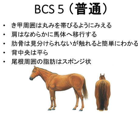 3_2