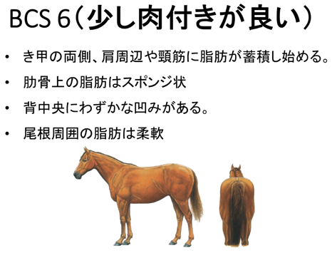 4_3