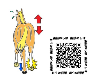5_2