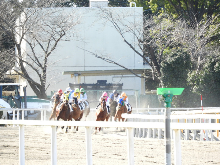 4a66342c7566466ba177f21e2ee5a1ca