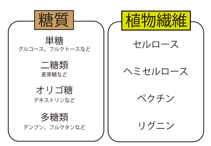 デンプン多糖類