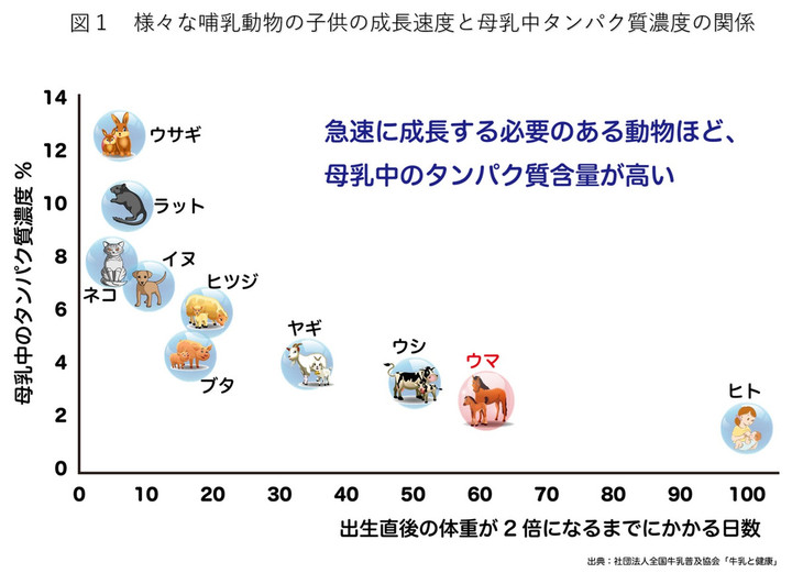 Photo_8