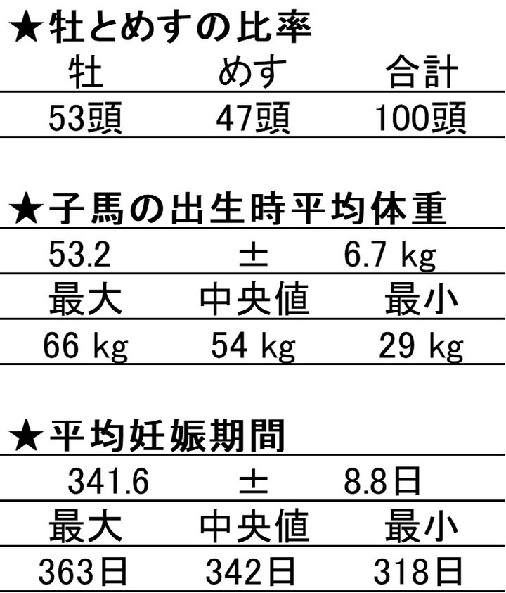 JRA育成馬日誌 : 育成馬ブログ（生産①）
