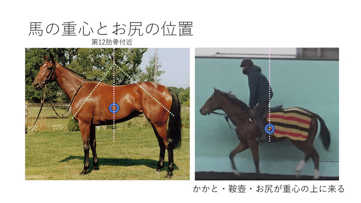 ＪＲＡ育成馬日誌 : 23ー24育成馬ブログ（日高④）