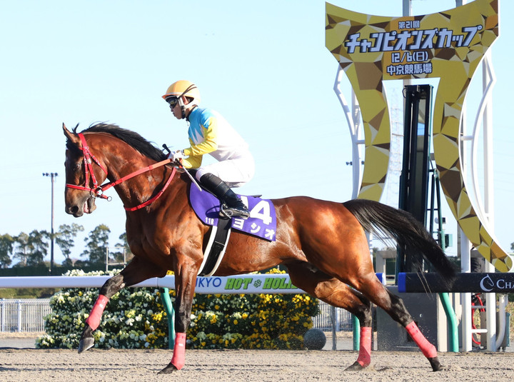 ヨシオ（福島競馬場誘導馬）デビュー戦現地馬券 密着#1】ヨシオは今、福島競馬場で誘導馬を目指してトレーニング
