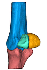 Photo_3