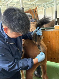 Photo_3