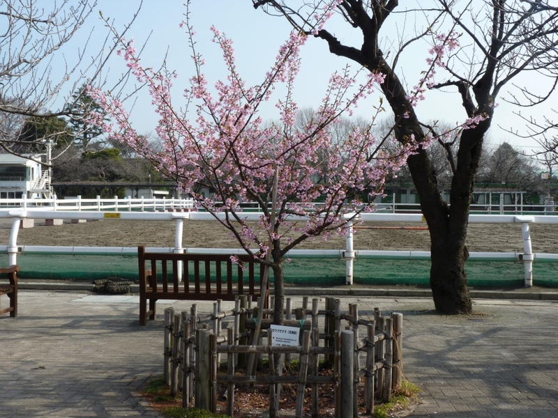 Photo_19