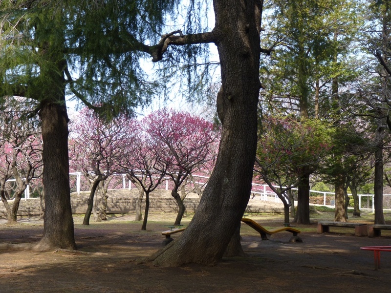Photo_7