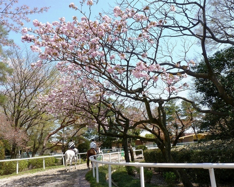 P1380608