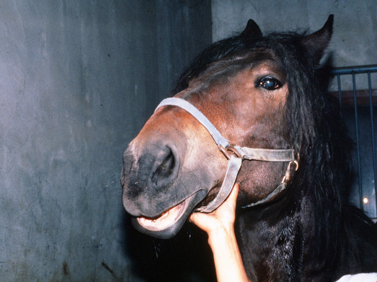 脳炎の原因は何ですか?