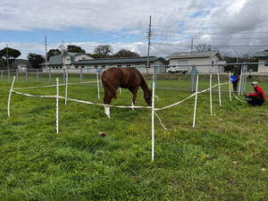 Photo_6